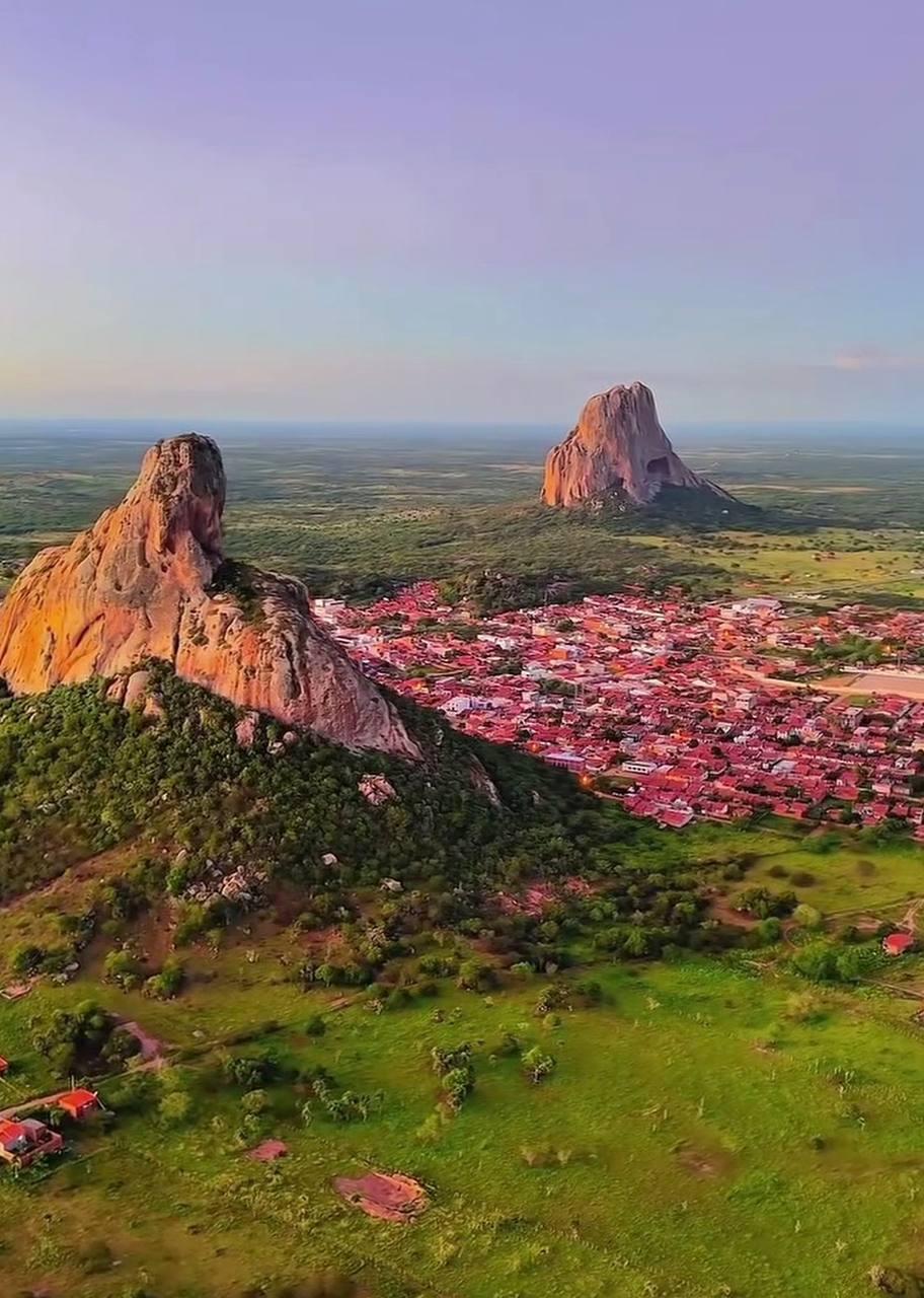 Navegue pela Categoria de Pé de Serra